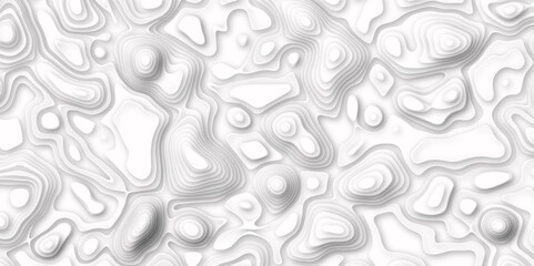  Abstract white pattern topography vector background. white topography contour lines map isolated on white background. The stylized height of the topographic map