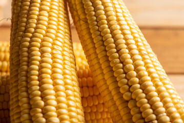 Green corn, beautiful green corn cobs on rustic wood, selective focus.