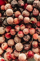 frozen berries. macro photo. healthy food. vegetarian food. healthy eating. making smoothies