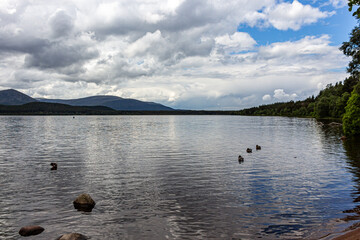 Lake Morlich, cairngorms scottish highlands.