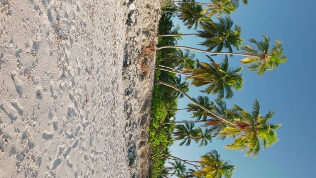 Walking in first person at Tropical beach with coconut palms on sunny day. Vertical footage