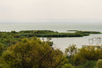 View of wild waterfowl in Lake Manyas in Manyas Nature Park.