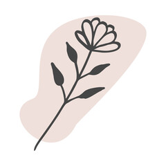 Silhouette of Herb and Flower. Vector Line art Botany element isolated on white on Color Spot. Boho style illustration in pastel colors. Outline Hand Drawn plant for Decoration, Card, Wall Art, Poster