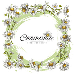Chamomile flowers frame with abstract background.