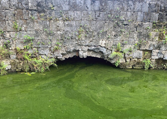 Old drainage sewer filled with dirty green water. Tunnel overflowing with water