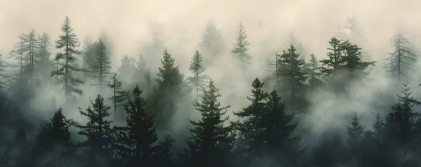 Fototapeten A misty mountain landscape with a forest of pine trees in a vintage retro style. The environment is portrayed with clouds and mist, creating a vintage and atmospheric imagery of a tree covered forest. © jex