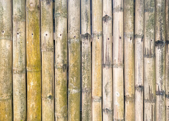 Old bamboo fence closeup for background