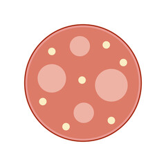 Salami isolated on white background. National Salami Day vector. Sliced salami icon vector. Meat sausage slice drawing. September 7. Important day