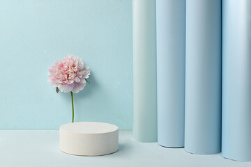 Abstract floral arrangement, empty podium for product and fresh peony flowers,Stage for demonstrating product and business concept. Minimal modern aesthetics. elegant beauty concept,