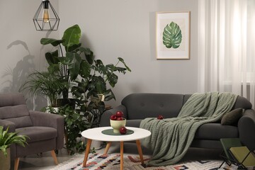 Red apples on coffee table, sofa, armchair and houseplants in room