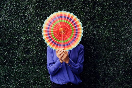Businesswoman covering face with multi colored folding fan in front of hedge