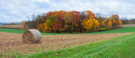 Hay Bale in a Plowed Autumn Field