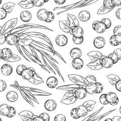 Seamless pattern with Acai berries and leaves, fresh juicy black berries with foliage, vector hand drawn natural fruit