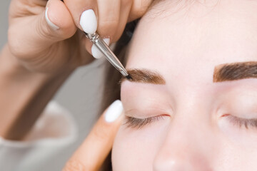 Eyebrow tinting. Close-up of a master applying eyebrow dye with a brush. Cosmetic procedures, permanent eyebrow makeup. correction and modeling of eyebrows in a beauty salon