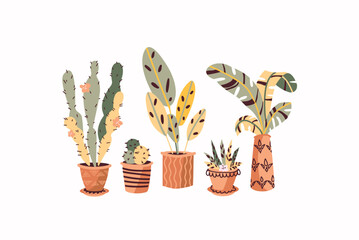 Vector set of house plants in pots. Cartoon hand drawn illustration style. Fun colors and ornaments. Set of isolated elements for the design of advertising banners, books, postcards.