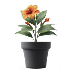 Artificial Flower Pot, Isolated On Transparent Background