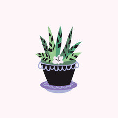 Vector illustration of a home plant in a pot with an ornament. Cartoon hand drawn style. Isolated elements.