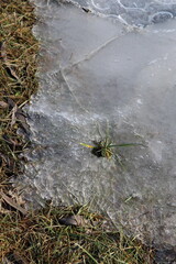 A small insect on a rock