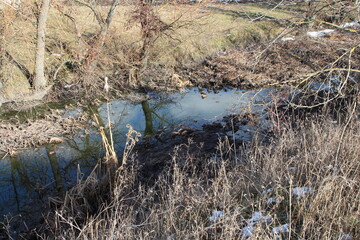 A small waterfall in a forest