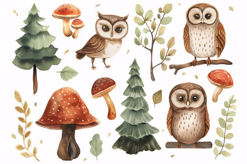 A charming watercolor illustration featuring cute owls, pine trees, and mushrooms, ideal for children's storybooks and educational content.