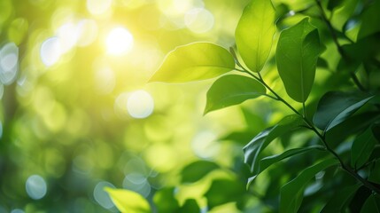 Fresh green leaves background with empty space, nature concept AI generated image