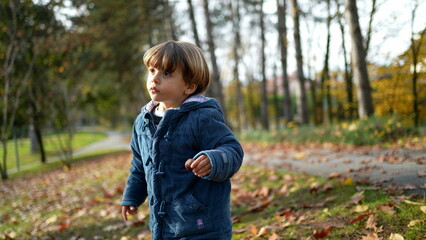 Contemplative child standing at park with blue jacket amidst orange leaves during autumn fall season. Pensive thoughtful 3 year old boy in nature