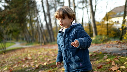 Contemplative child standing at park with blue jacket amidst orange leaves during autumn fall season. Pensive thoughtful 3 year old boy in nature