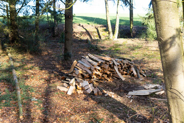 Fototapeta premium preparing firewood for the winter and a hunting lodge
