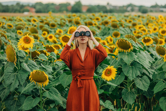 Woman looking through binoculars standing in sunflower field