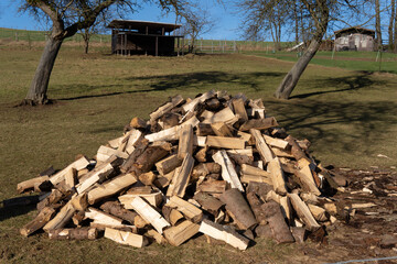 Village yard, preparing firewood for the winter