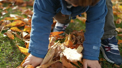 Small Boy in Jacket Collecting Dry Autumn Leaves and throwing in the air, carefree happy kid enjoys fall season