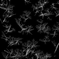 Abstract background of ice patterns in black and white - 723120655