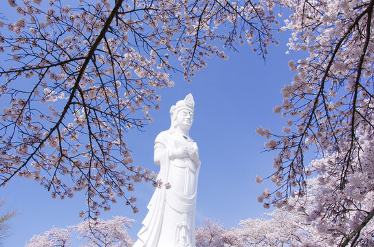 船岡平和観音」の写真素材 | 7件の無料イラスト画像 | Adobe Stock