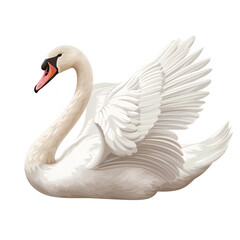 swan vector on white background