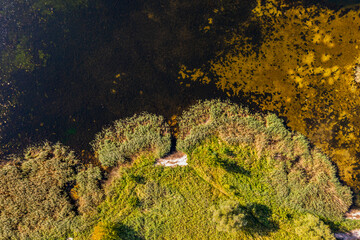 Lake landscape from a drone, bushes and a lake seen from a drone in summer.