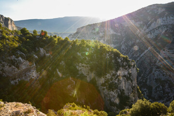 Obraz premium Beautiful landscape in the Verdon Canyon in France. Rocks and trees in the Verdon canyon.