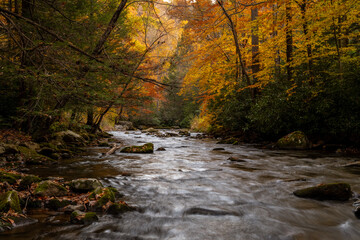 Fall scenes along Bear Creek