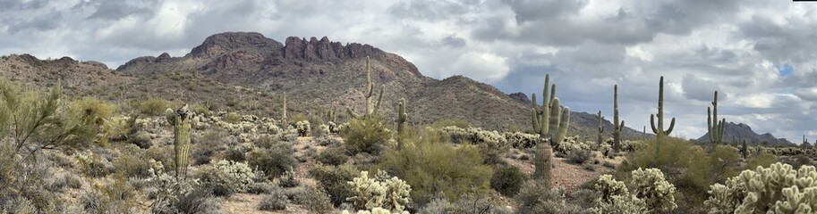 Views from the American Southwest - exploring the landscape 1.5 hours outside of Phoenix, Arizona...