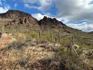 Views from the American Southwest - exploring the landscape 1.5 hours outside of Phoenix, Arizona towards Wickenburg