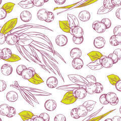 Seamless pattern with Acai berries and leaves, vector hand drawn natural fruit superfood violet contour with yellow