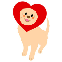 dog with heart , golden retriever dog , Valentine’s Day , dog love 