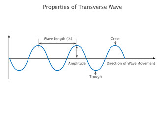 Properties of transverse wave, this waves oscillate perpendicular to wave direction - obrazy, fototapety, plakaty