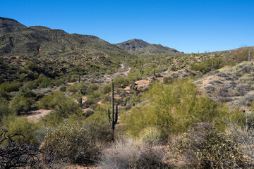 The Bartlett reservoir in the Tonto National forest