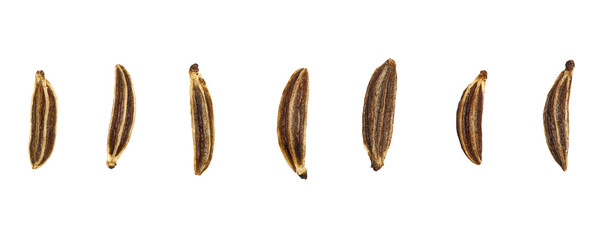Set cumin isolated on white, top view 