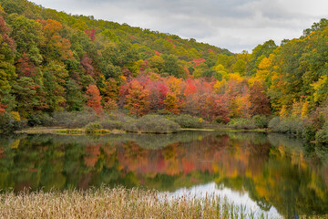 Colorful fall colors and reflections around the Coopers Rock pond  , Pond with cat tails in foreground