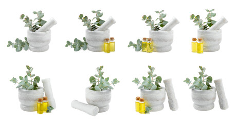 Eucalyptus leaves and mortar isolated on white background.Spa concept.Ingredients for alternative medicine and natural cosmetics. A bottle of essential oil and a bunch of eucalyptus. Organic skin care