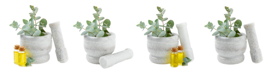 Eucalyptus leaves and mortar isolated on white background.Spa concept.Ingredients for alternative medicine and natural cosmetics. A bottle of essential oil and a bunch of eucalyptus. Organic skin care