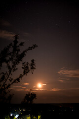 Naklejka premium The moon rising through the clouds. Photographed with exposure time. Clouds in the dark. Forest silhouette at night