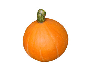 Orange pumpkin on  transparent png