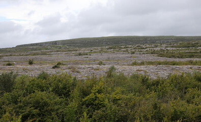 Karst rock in the beautiful Burren National Park in County Clare - Ireland